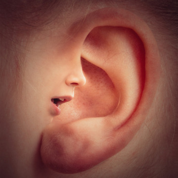 Tinnitus & Misophonie